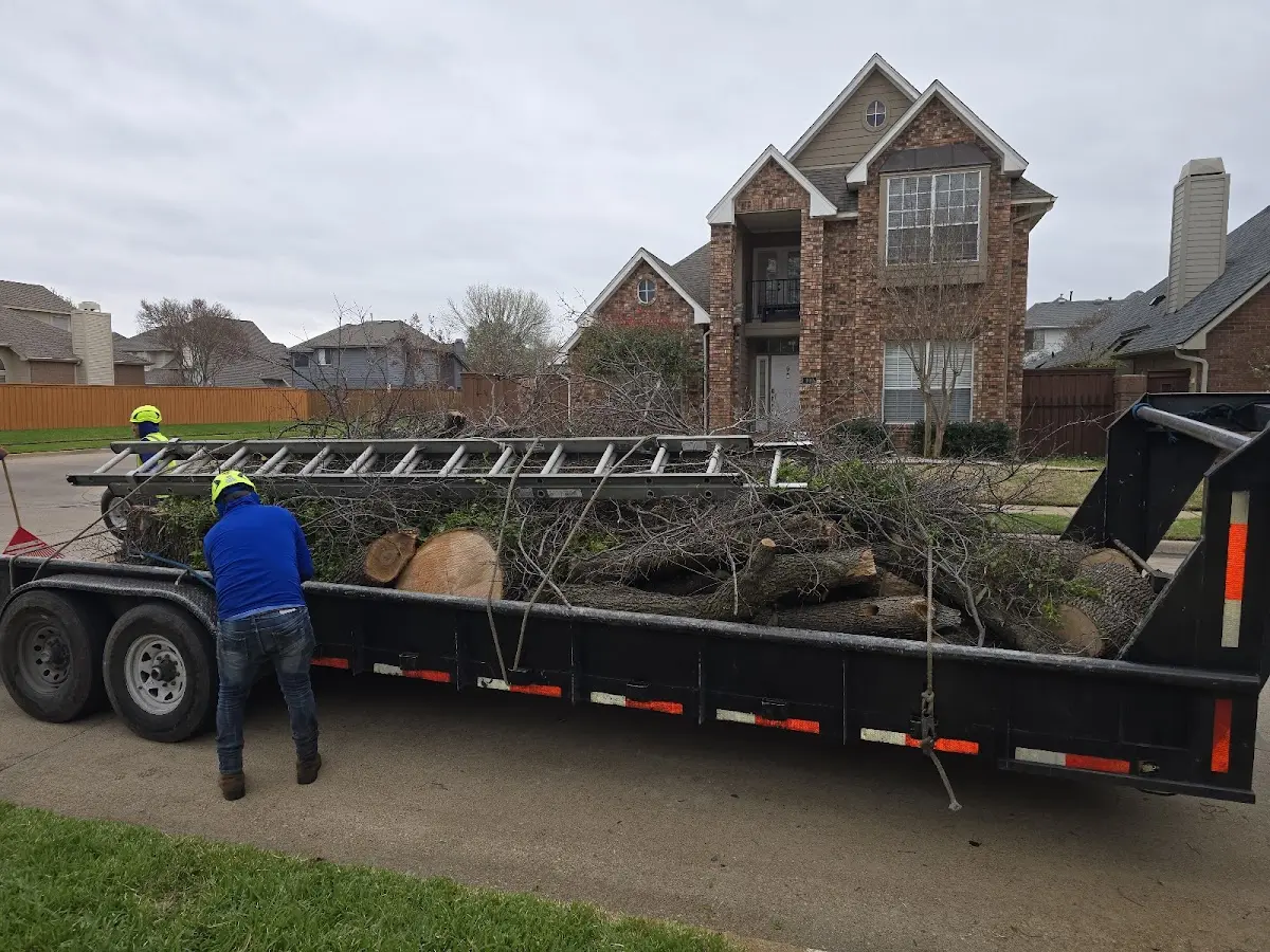 Expert Tree Fertilization with proper safety equipment in Bartow